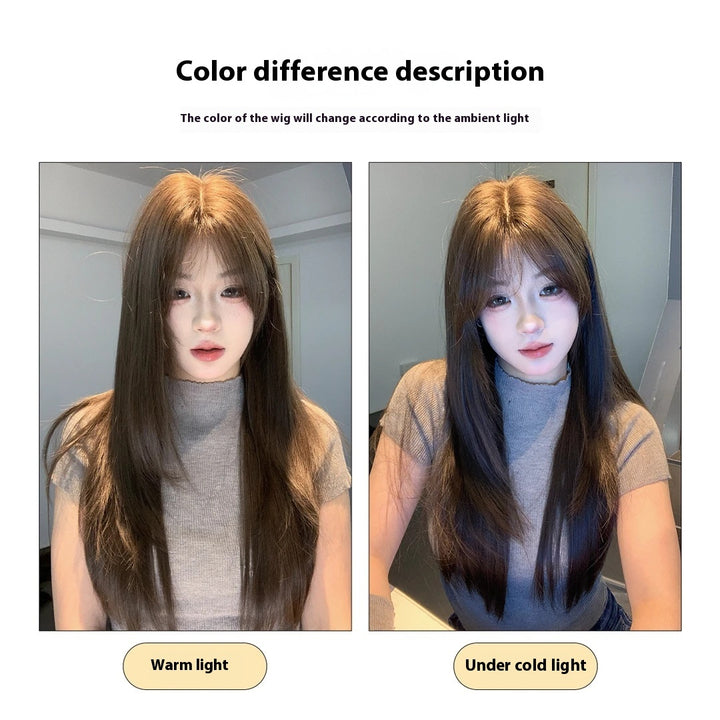 Wig Women's Layered Long Straight Hair Full-head Wig